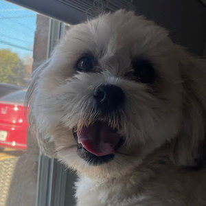 Meet your Posher, Priscila